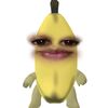 cegill.jaemin