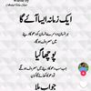 alialvi242