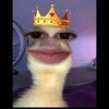 josegonzabay85