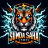 sundasahababycha