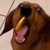 bulechka123