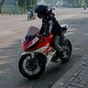 rofi_albino