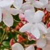 zayyar726153