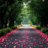 salwa888881