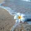 user267812988024