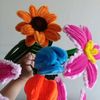 aqiarsflowers