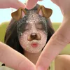 fang.fei3