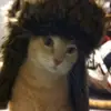 twiksey3
