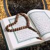 user9541181840249