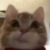 qqwut0