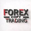 forexcopytrading