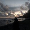jejak_dhanie