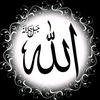 ahmed.alli42