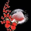 user5966819874174