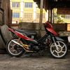 fahri6954
