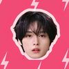 strayfcam