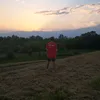 jajko_1212
