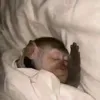 yeoleum_noeu