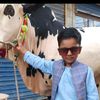 gatu.mujram123