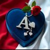 aminaa5986