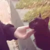 4_mz4i