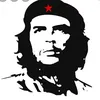 user4243099361981