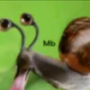 willduck_23