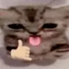 o00000000000000000007