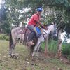 user25113412050416
