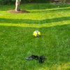 .footballstar