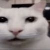 whoisthiskidman
