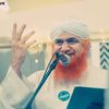 syedhasan3135