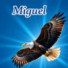miguel.apaza080