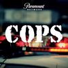 Cops USA