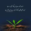 qazi.ishaq89