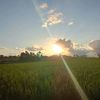 fanela_324