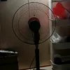 longbaongu