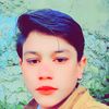 shoial.2247
