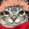 rizz6476