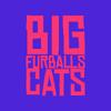 bigfurballs_cats