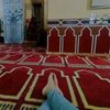 maghol9069