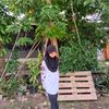 rania.marissa2226