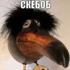 skebob_1488_