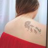 sofya07811