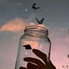 its_my_world6