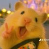 wiiiii_38
