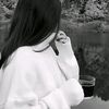 user8158305302848