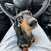 shark_temp0