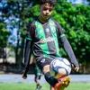 beecairestrindade
