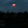 meha__med44